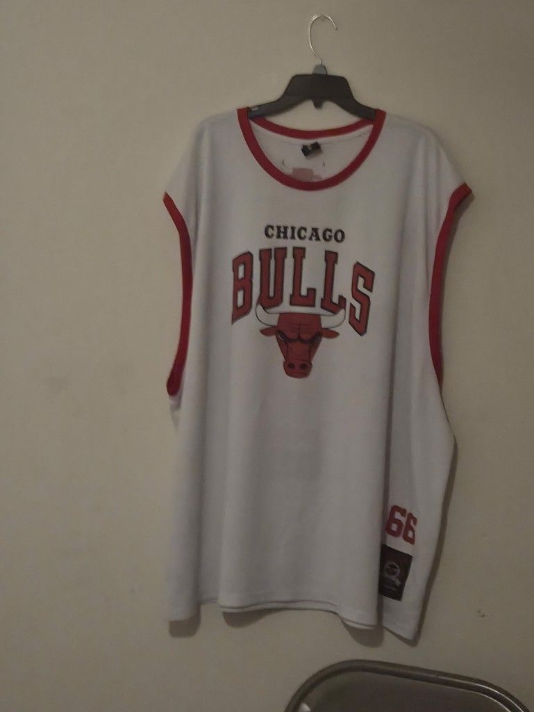 Bulls Jersey 
