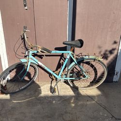 Vintage Bike 1980