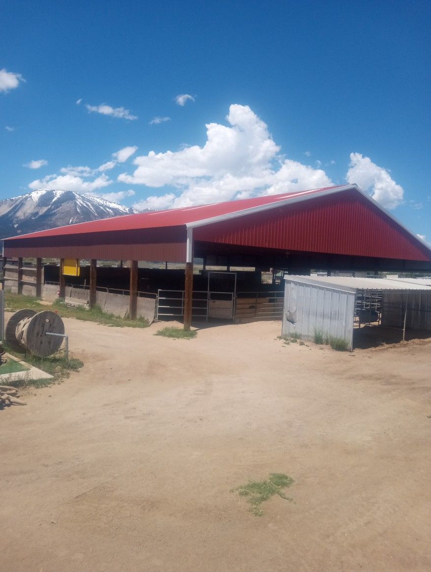 Horse Boarding Washoe Valley