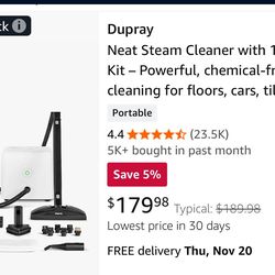 Steam Cleaner