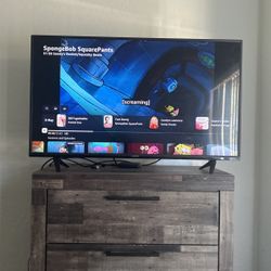 40 Inch Vizio TV
