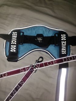 Service Dog Harness/leash 