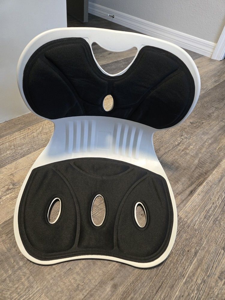 Ergonomic Lumbar Support for Good Posture Correction