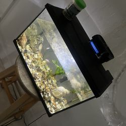Fish Tank W/3 Beautiful Fishes 