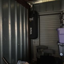 Punching Bag