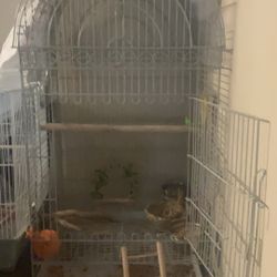 Bird Cage Toys are Not Included