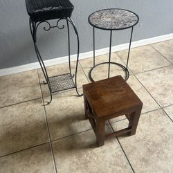 Stand Plants 20 Each 