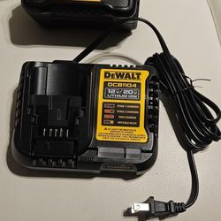 New Dewalt XR 10ah Battery and Charger