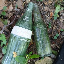 Old Coca-Cola Bottles