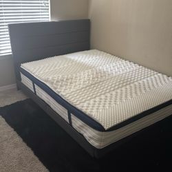 Queen Size Whole Bed + Set Even The Rug !!!!