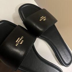 Coach Slides – Black • Size 11 • Like New