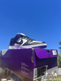Nike SB Court Purple Size 9.5 Brand New