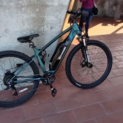schwinn electric bike Dark Green-ish And Black