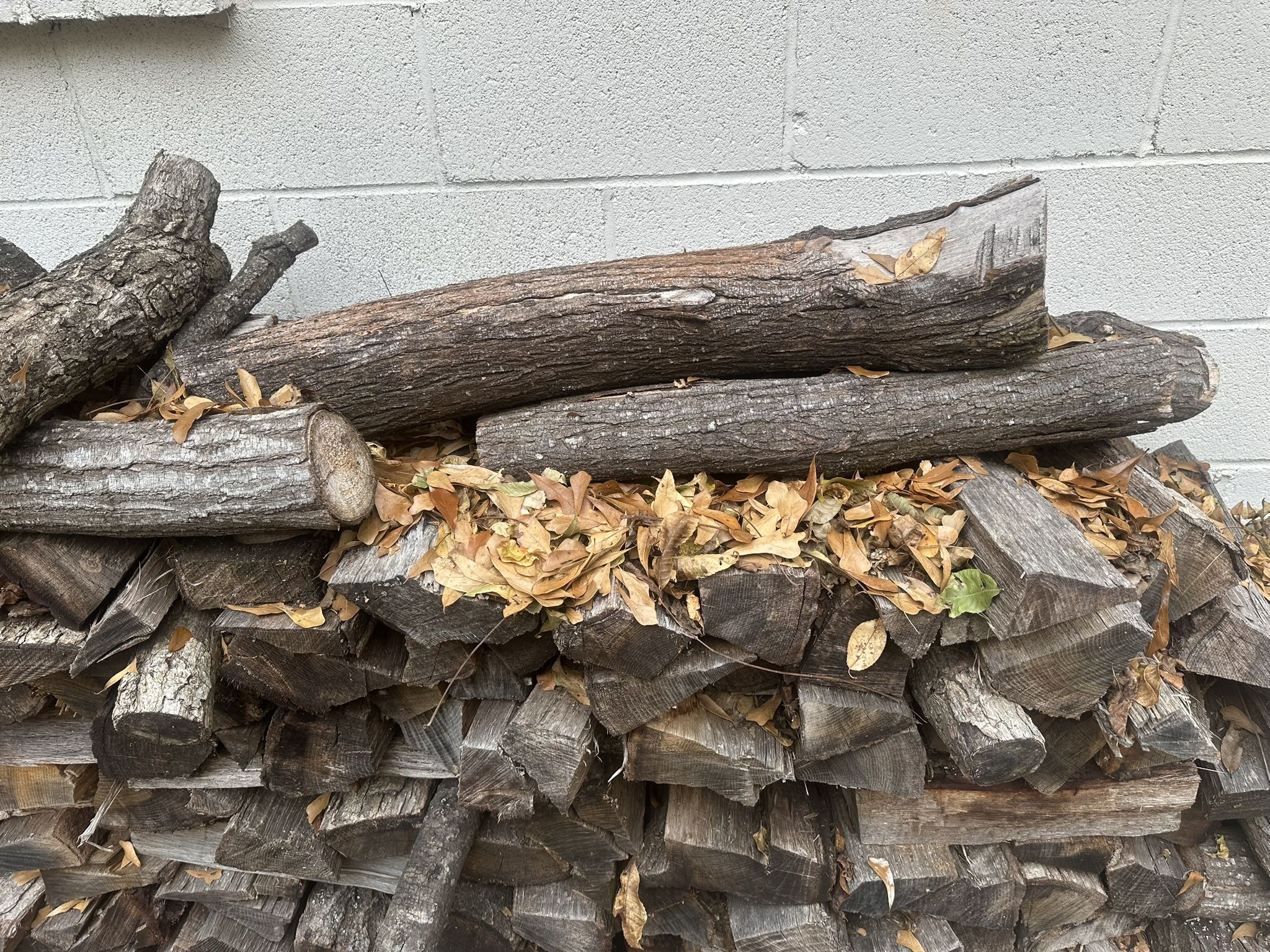 Seasoned Firewood — Dry Hardwood — Pickup Today — $120