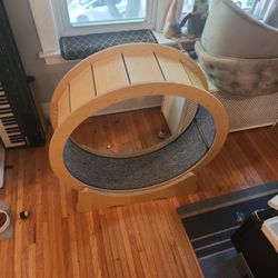 Cat Wheel