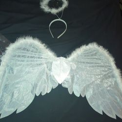 Angels Wings And Halo