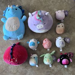 Squishmallow Plushy Toys (11 Squishmallows)