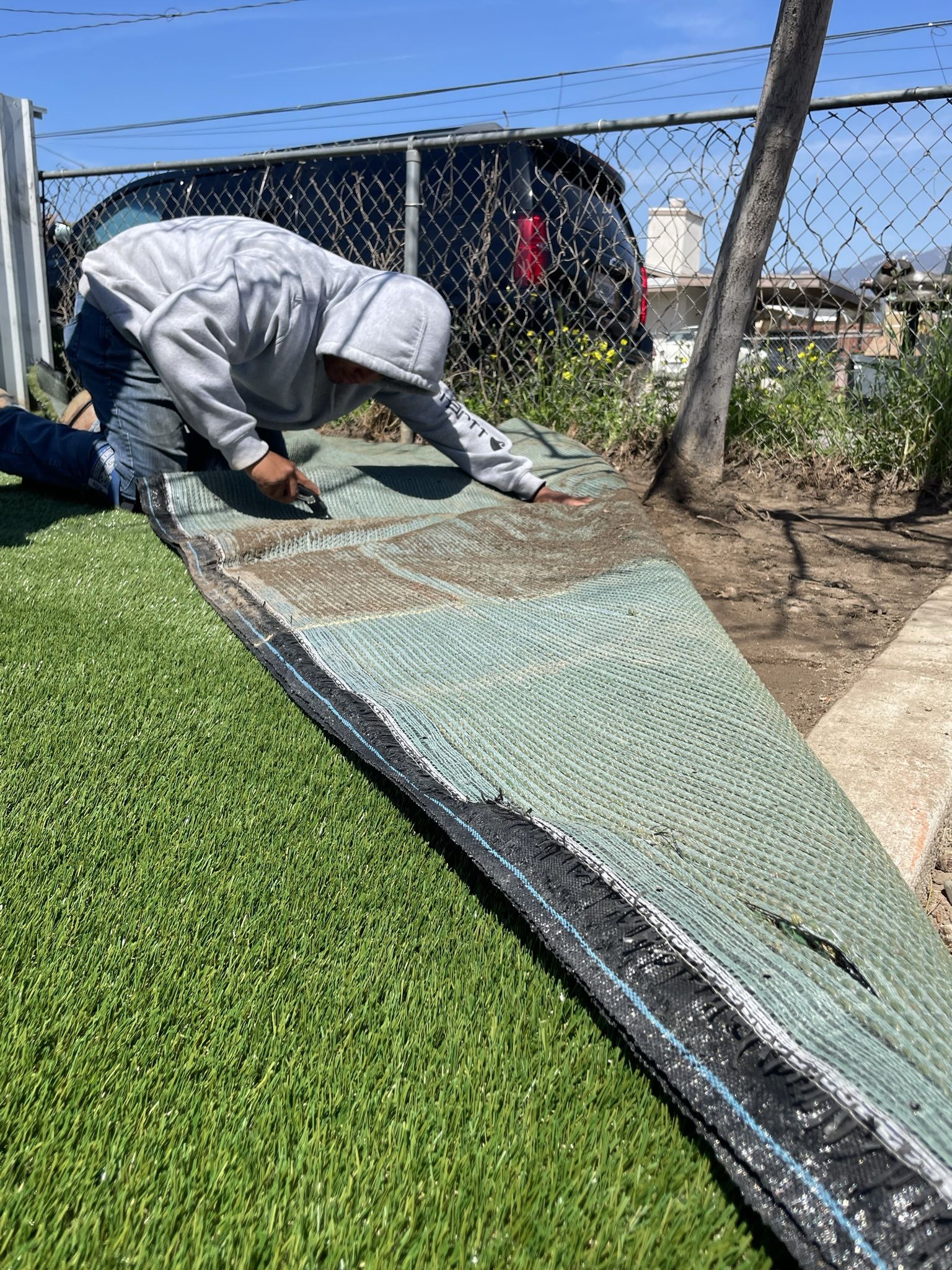 Artificial Grass