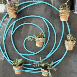 Metal Wall Plant Holder With Terra Cota Plant Pots