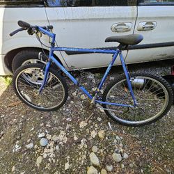 Vintage Fuji Suncrest Bike *See Description* 