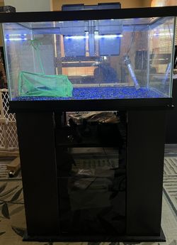 Aquarium 30 Gal With Nice Stand