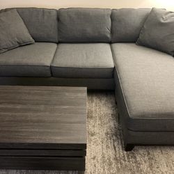 Gray Sectional Couch with Chaise