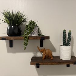 Decorative Wall Plants And Shelf’s 