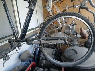 Trek Apex