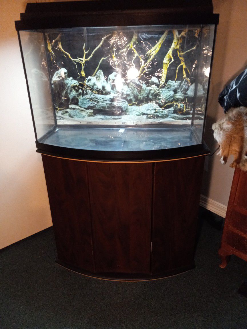 All U Need Is The Fish And Water With This 36 Gallon Tank