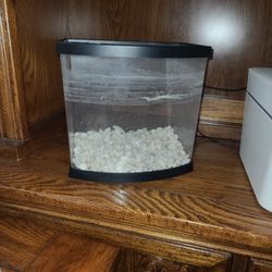 Fish Tank Kit + Water Purifier