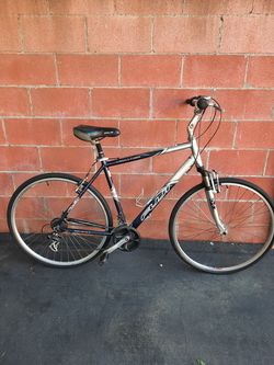 Fuji crosstown 21"