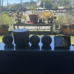 Amazon Alexa Home Set Up With Sub Wonder And Display 