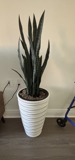 Snake Plant In  Vase-artificial 