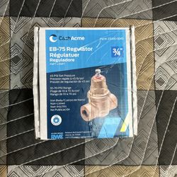 Cash Acme 3/4 Inch EB75 FPT x FPT Pressure Regulator Valve (PRV), 45 PSI, 230...