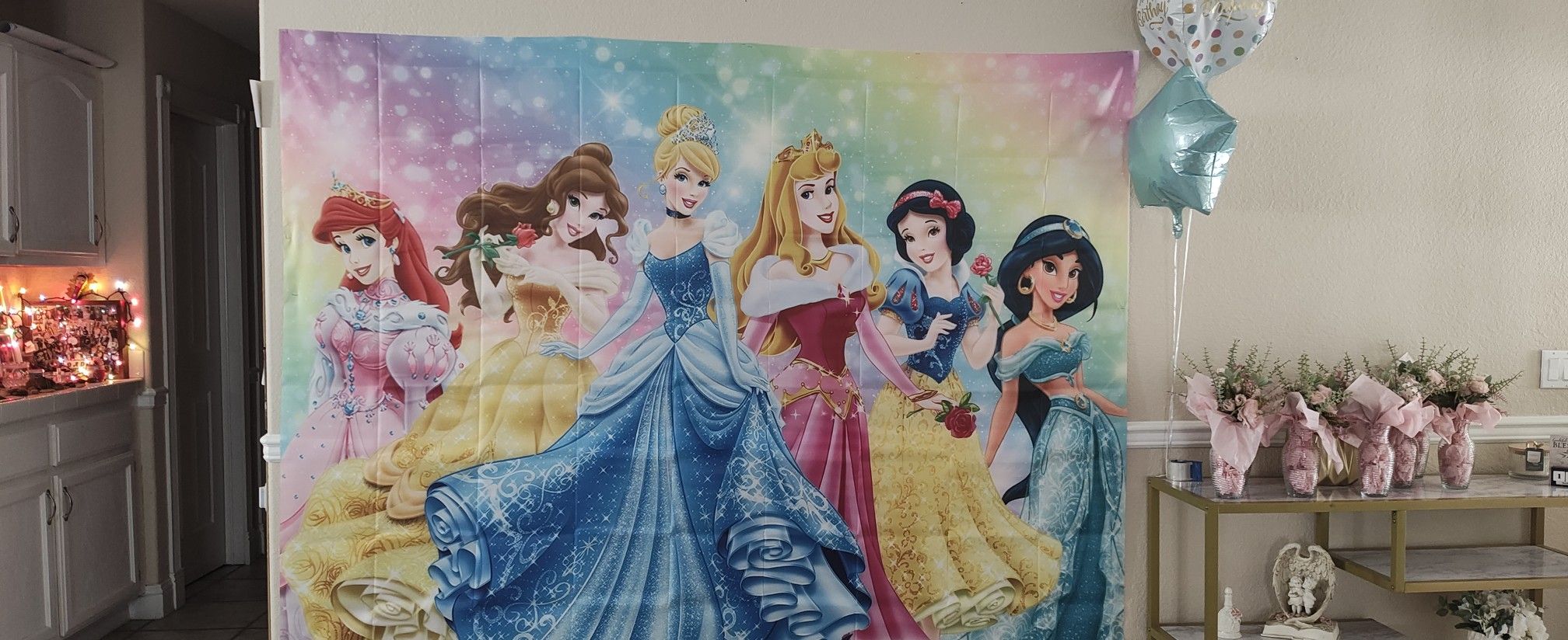 Princess Back Drop  