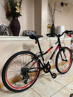 GUARDIAN BIKE 24”
