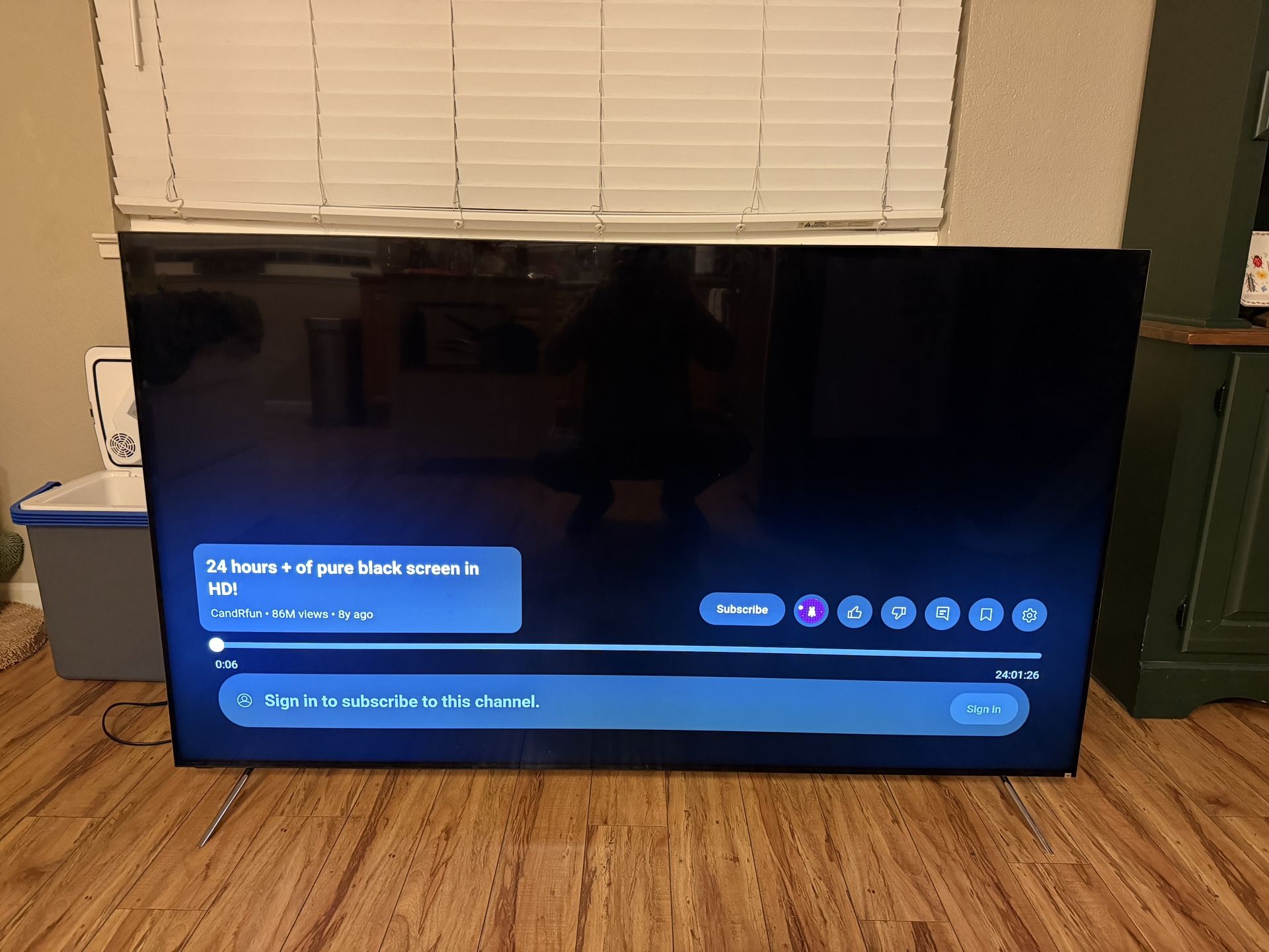 Vizio 65in TV