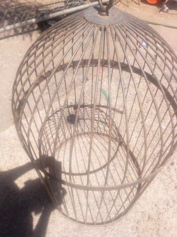 Bird Cage