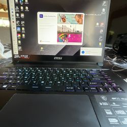 MSI GS66 STEALTH Gaming Laptop 