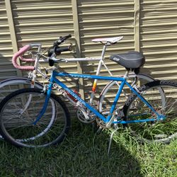 2 Bicycles Been Sitting Will Need Work. Rims Are Straight.