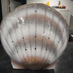 Stardust Memorials Biodegradable Shell Urn In Pearl For Water Burial Or Earth