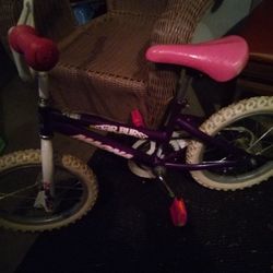 Kids Girl Bikes 