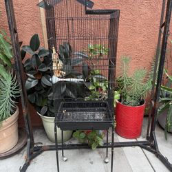 Bird Cage