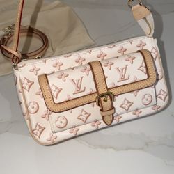 Louis Vuitton RARE purse AUTHENTIC 