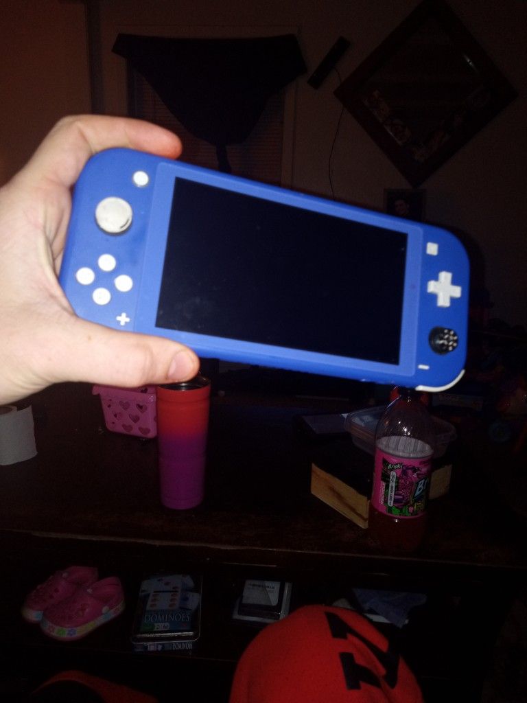 Nintendo Switch Lite (Used)