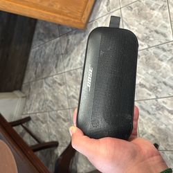 bose speaker( for the low )