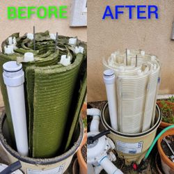 Pool Filter Cleans