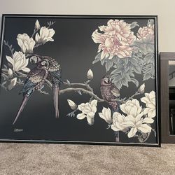 Beautiful Parrot Picture