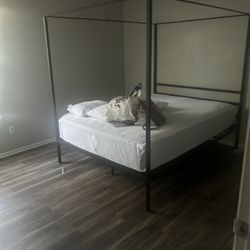 Queen Canopy Bed frame. 