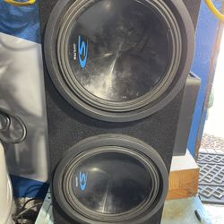 Alpine Type s Subwoofer